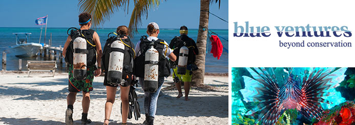 Lionfish Dive Trip in Belize