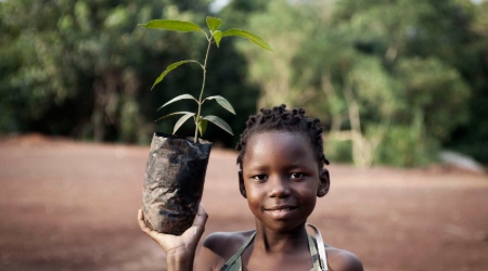 Volunteer in Africa