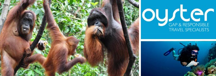 Conservation Gap Year