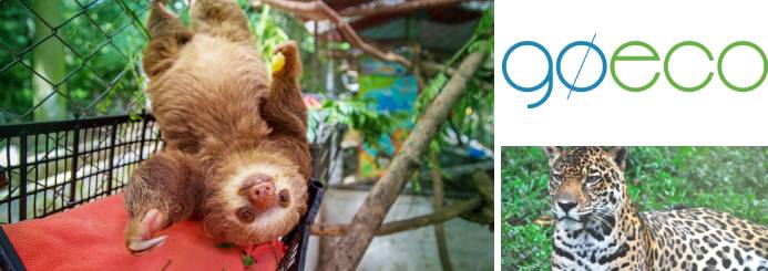 Wildlife Conservation in Costa Rica