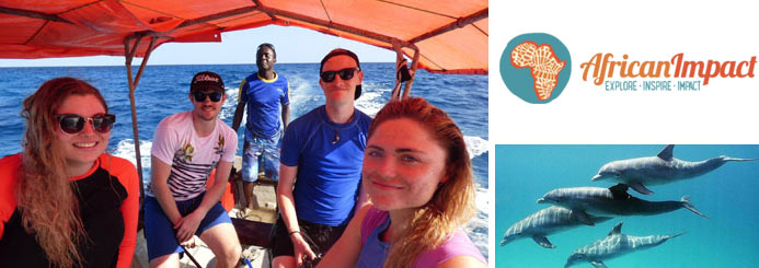 Dolphin Conservation in Zanzibar