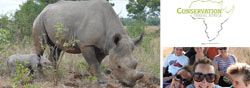 Hands-on Black Rhino and Elephant Conservation