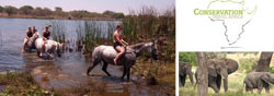 Horse Riding and Wildlife Conservation