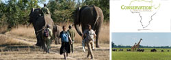 Teaching and Big 5 Wildlife Conservation