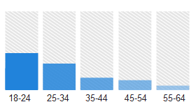 site visitors by age group